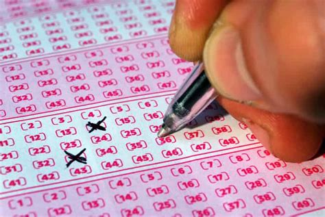 viking lotto winning numbers|View the latest results for Viking Lotto.